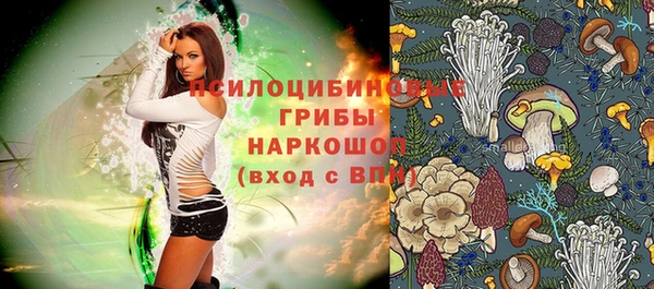 ГАЛЛЮЦИНОГЕННЫЕ ГРИБЫ Кулебаки