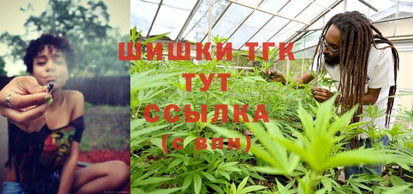 ГАЛЛЮЦИНОГЕННЫЕ ГРИБЫ Кулебаки