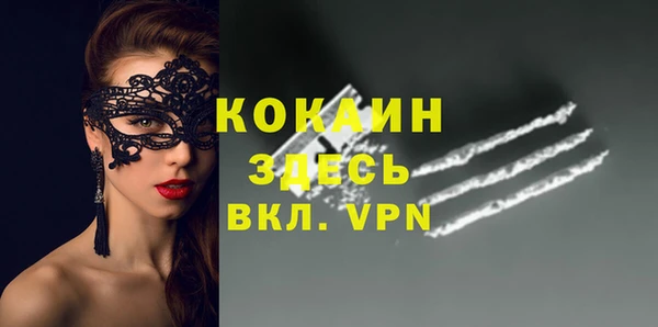ГАЛЛЮЦИНОГЕННЫЕ ГРИБЫ Кулебаки