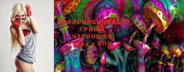 ГАЛЛЮЦИНОГЕННЫЕ ГРИБЫ Кулебаки