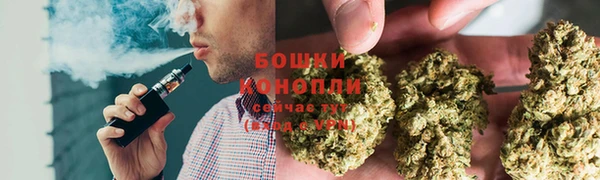 ГАЛЛЮЦИНОГЕННЫЕ ГРИБЫ Кулебаки